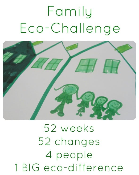 family eco-challenge collage