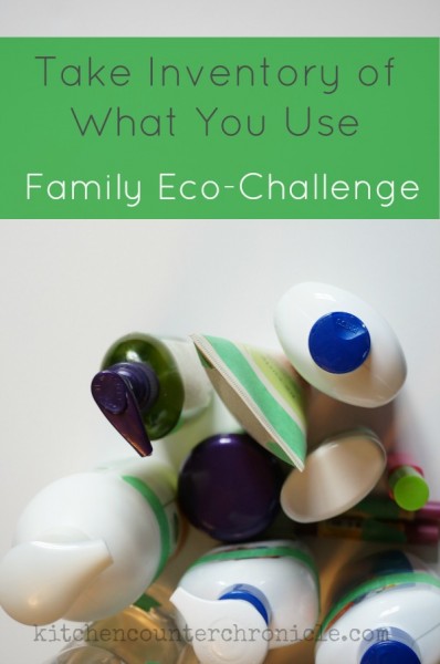 family eco-challenge take inventory