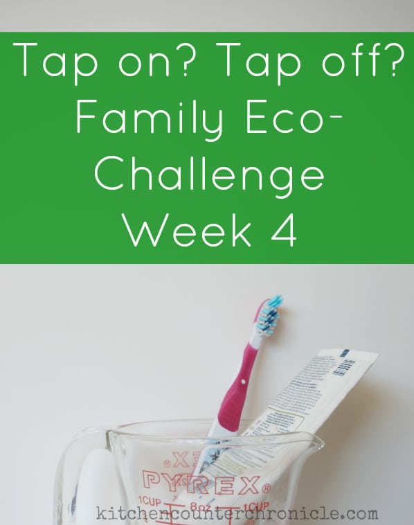 family eco-challenge