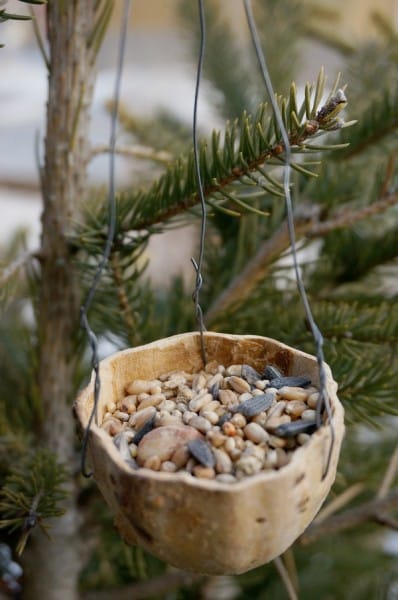 gourd bird feeder