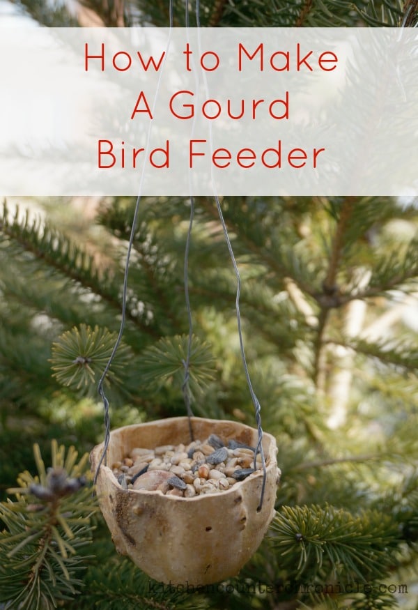 how to make a gourd birdfeeder