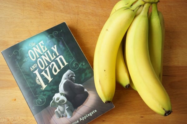 one and only ivan bananas