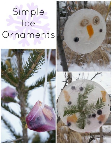 simple ice ornaments 