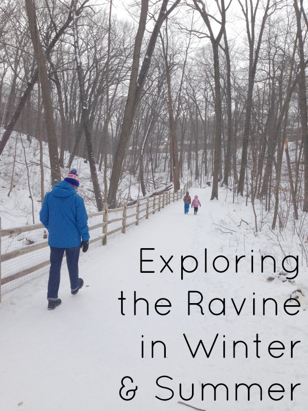 outdoor play party exploring the ravine