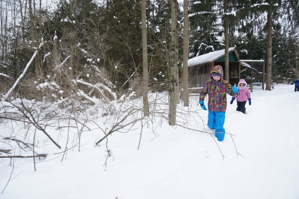 playing in the snow