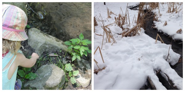 ravine creek