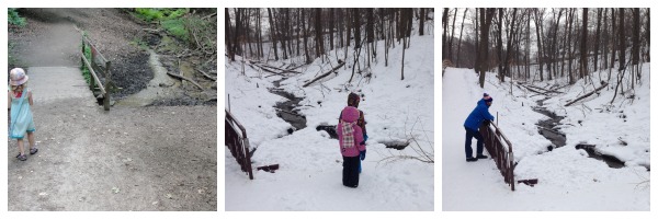 ravine in winter