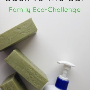 family eco-challenge bar soap