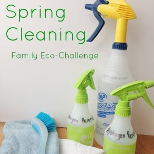 non-toxic spring cleaning