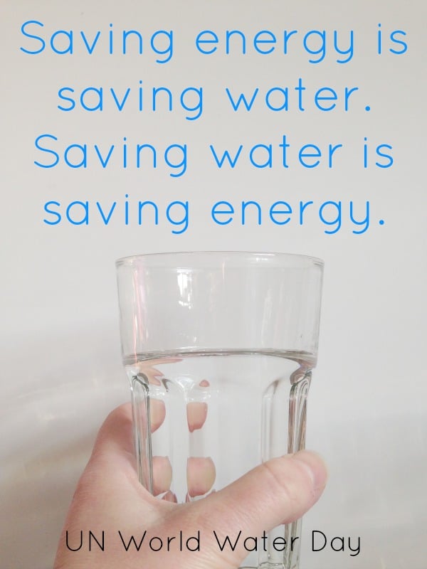 save water and energy quotation