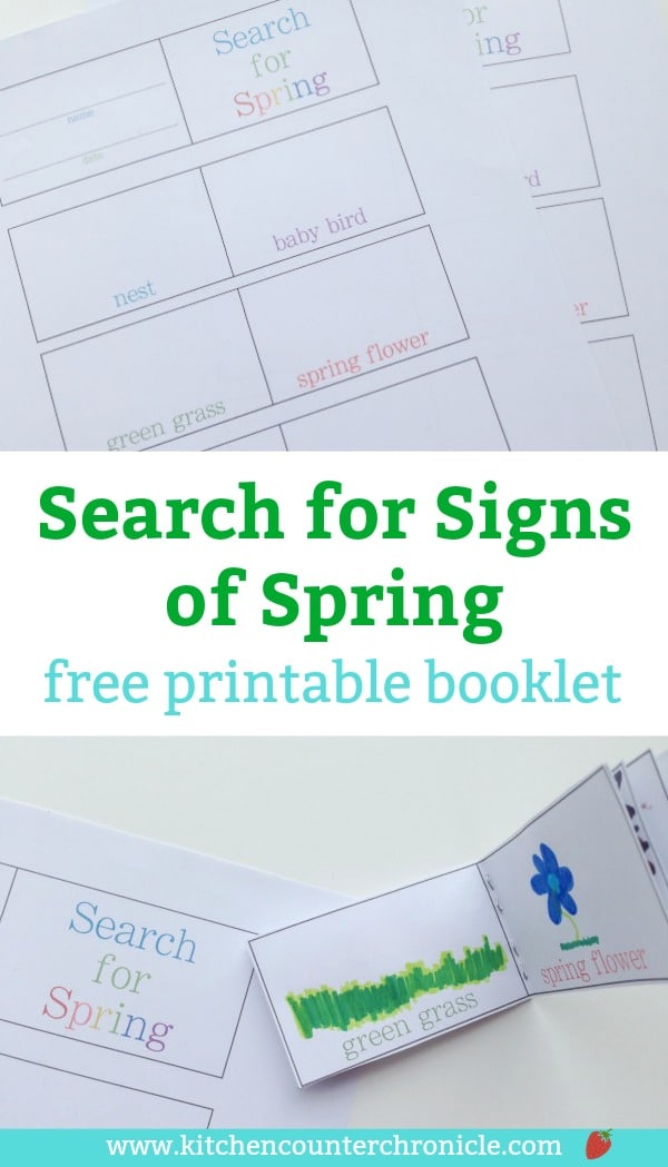 It's time to get outside and play this spring. Search for signs of spring with this free printable booklet for kids. What do you see? #springactivityforkids #freeprintableforkids #kidsactivities #spring #outdoorplayforkids #activitybookforkids #playandlearn