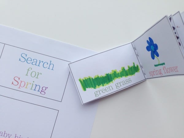 search for spring booklet drawing