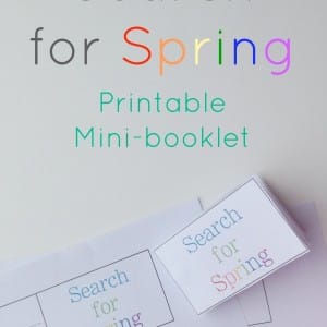 search for spring printable booklet