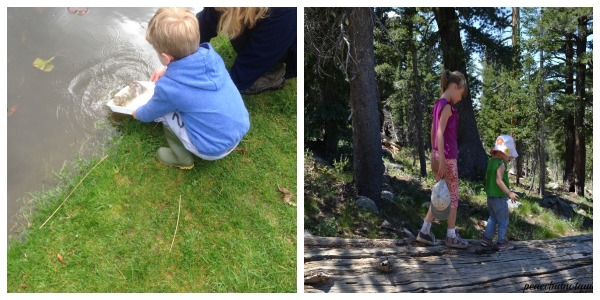 outdoor play collage april 24