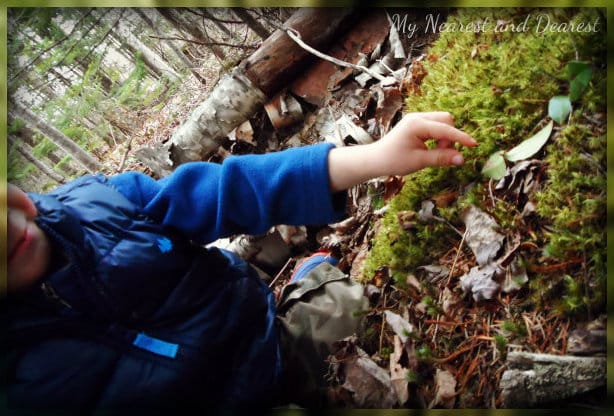 hands on in nature