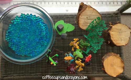 life cycle of a frog