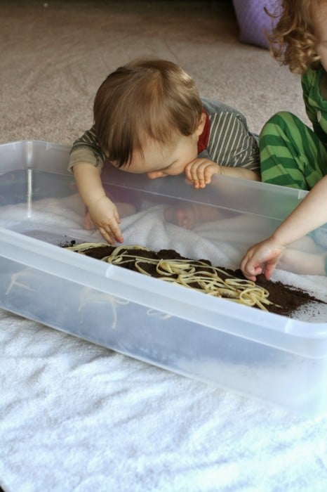 dirt and worms