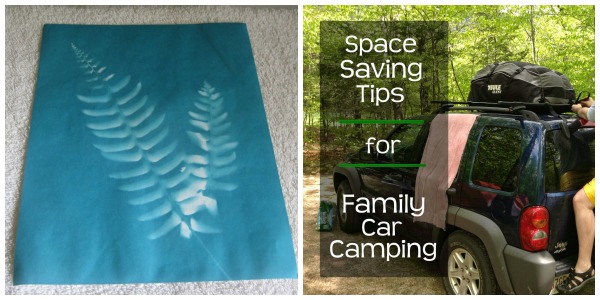 fern and camping