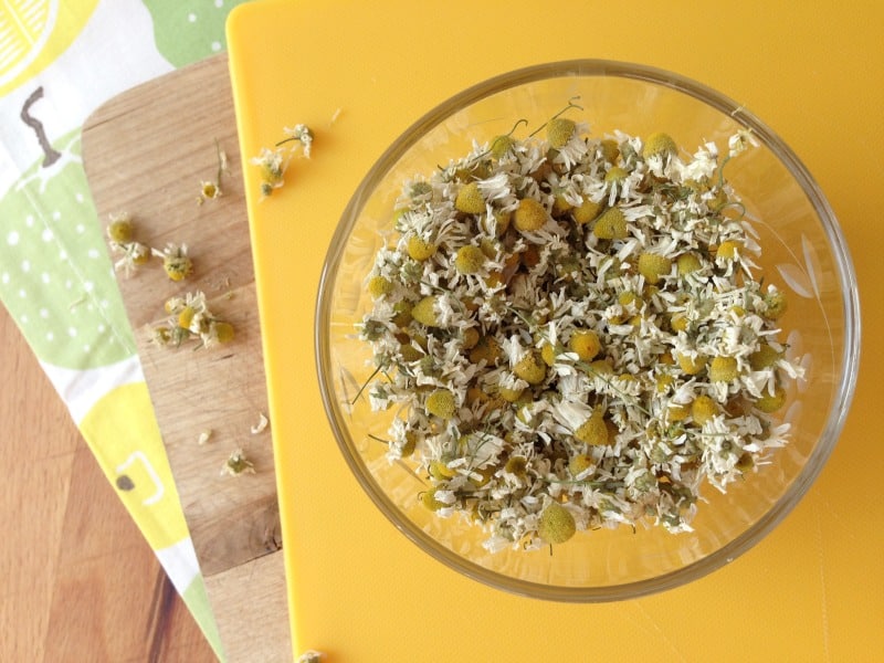 chamomile in a bowl