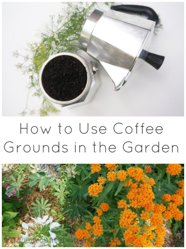 How To Use Coffee Grounds In The Garden