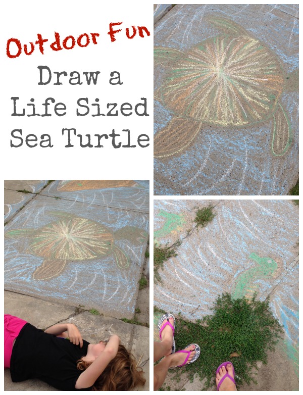 draw a life sized sea turtle