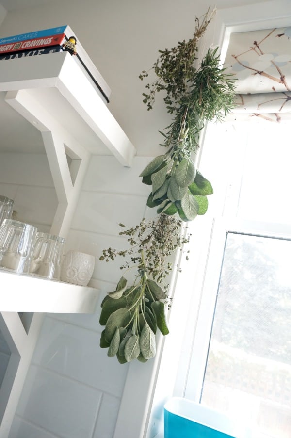 herbs hanging in kitchen