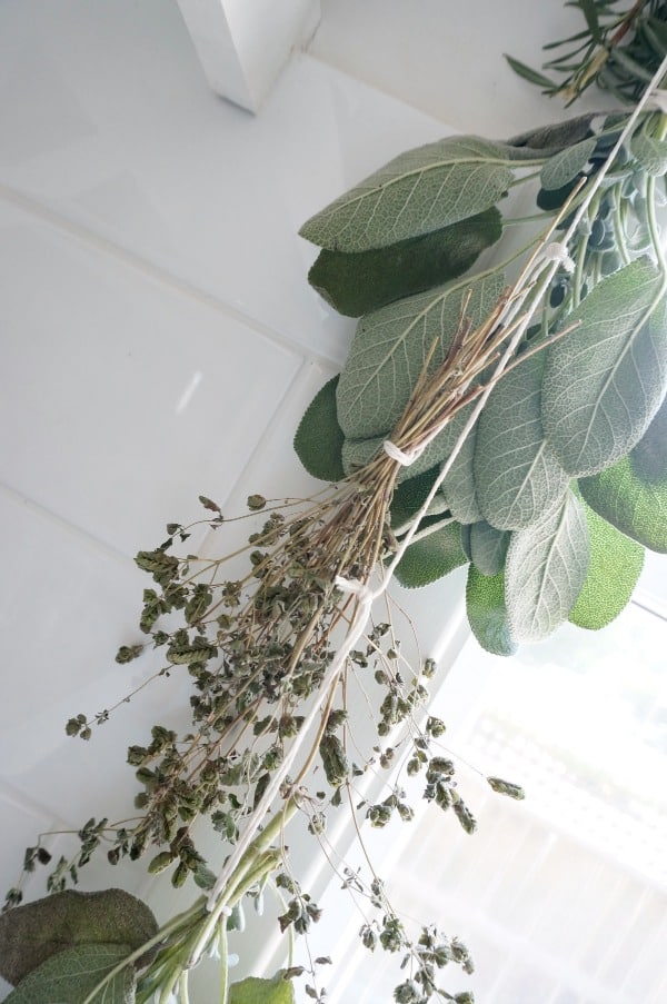 herbs on string