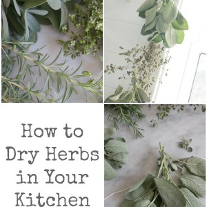 how to dry herbs