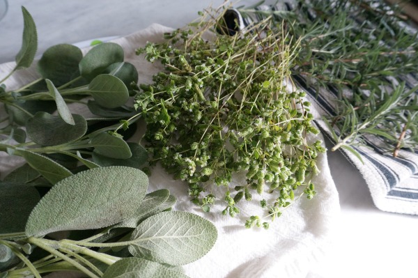 wet herbs on towels