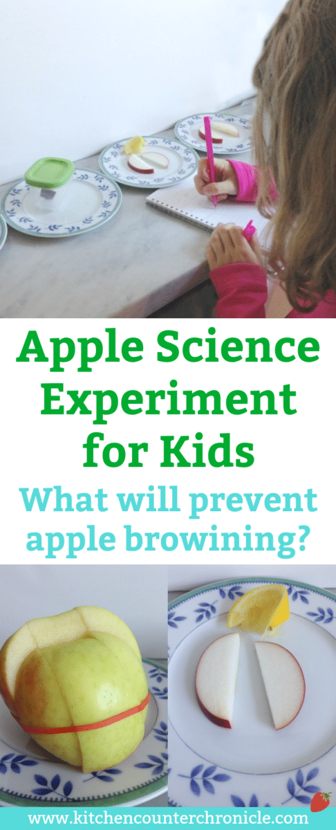 Apple Science Experiment for Kids - Kids discover what is the best way to prevent apples from browning. A fun fall, hands on science experiment for kids | STEM for Kids | Science for Kids | Apple Activity for Kids |