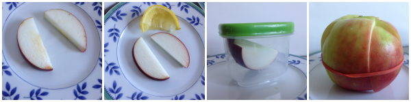 apple science experiment