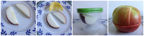 apple science experiment