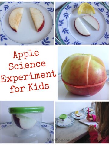 apple science experiment for kids