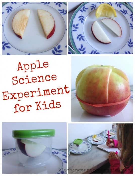 Apple Science Experiment for Kids Browning Apples