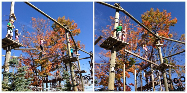 blue mountain collage