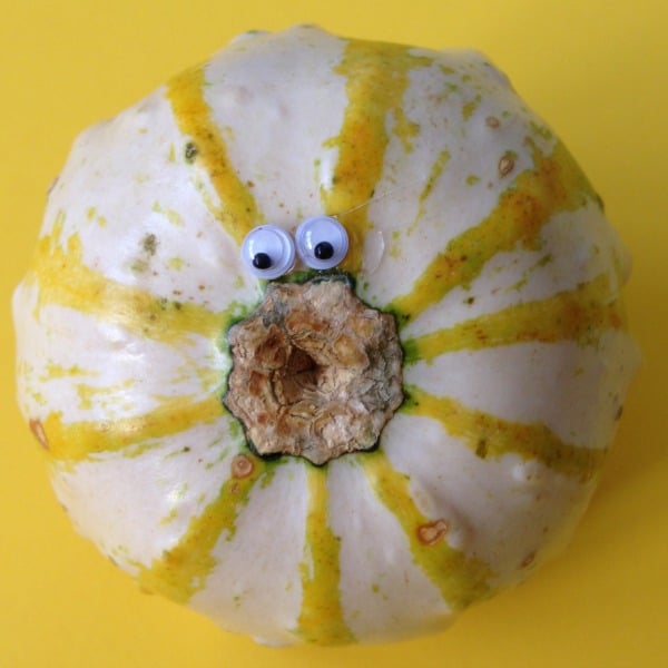gourd