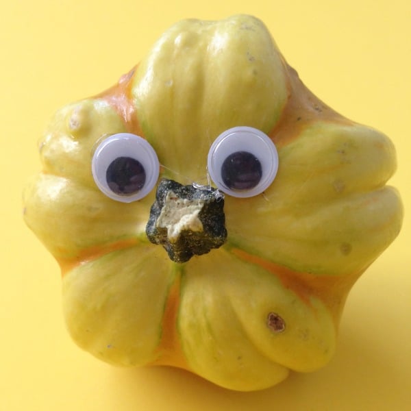 gourd craft