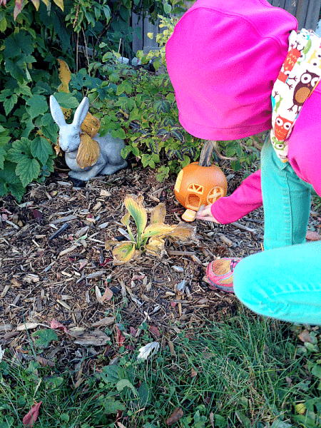 jack o lantern with kid