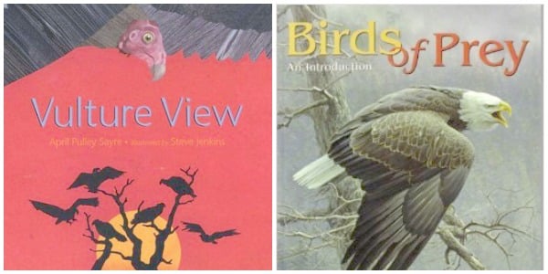 vulture books for kids