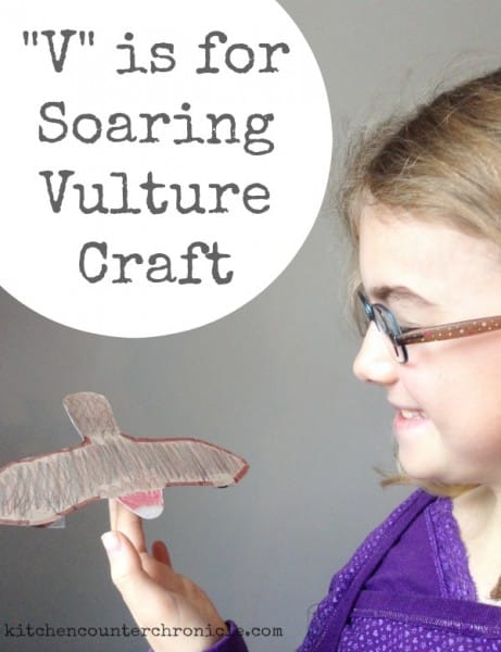 soaring vulture craft