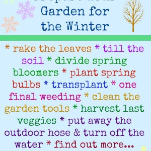 prepare your garden for winter