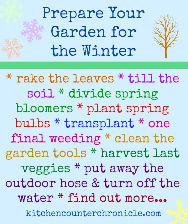 How to Prepare Your Garden for Winter