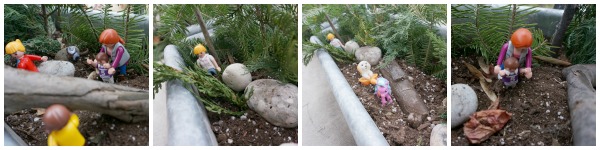 container gardens