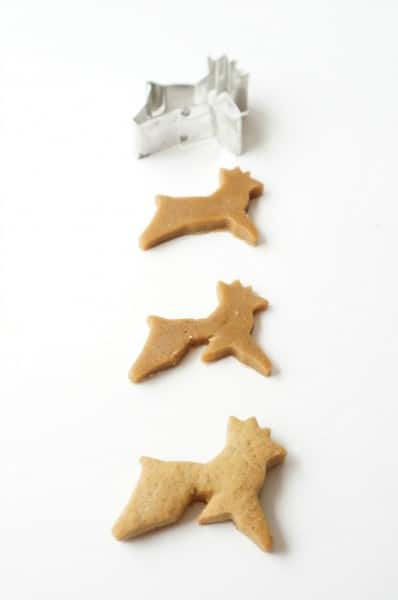 reindeer cut out
