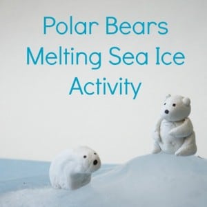 polar bear activity sea ice melting