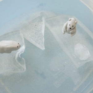 polar bears on melting sea ice experinment