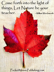 let nature be your teacher