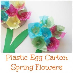 plastic egg carton spring flowers