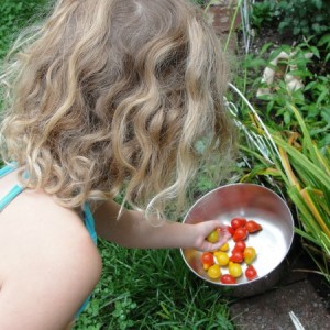 vegetable garden with kids