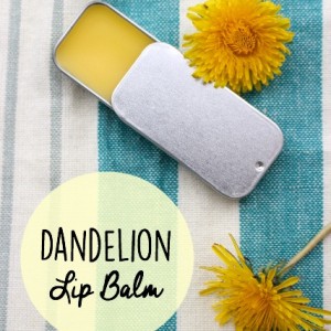 dandelion lip balm in a metal container
